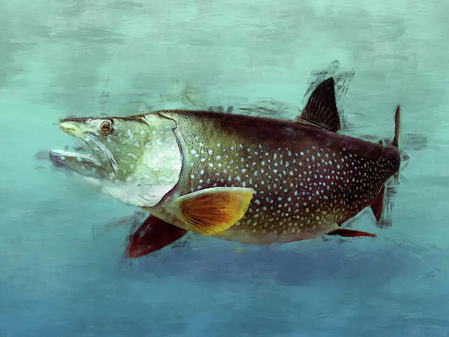 Namaycush: The Story of Adirondack Lake Trout